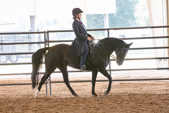 FWRHAStateShow-68