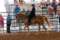 FWRHAStateShow-124