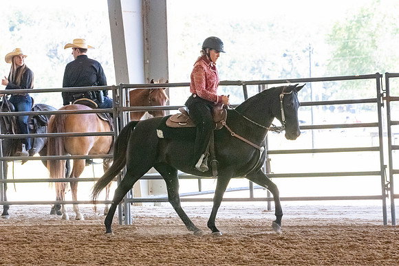 FWRHAStateShow-71