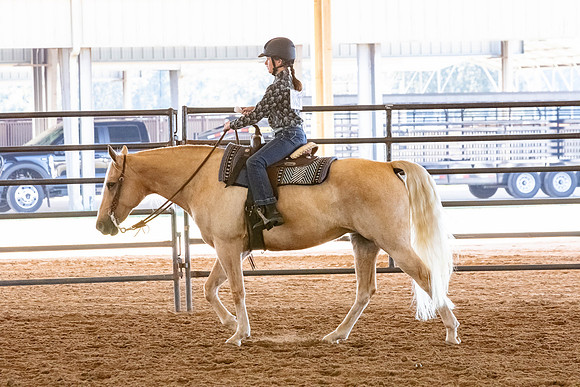 FWRHAStateShow-144
