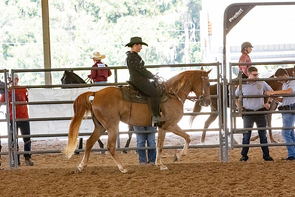 FWRHAStateShow-128