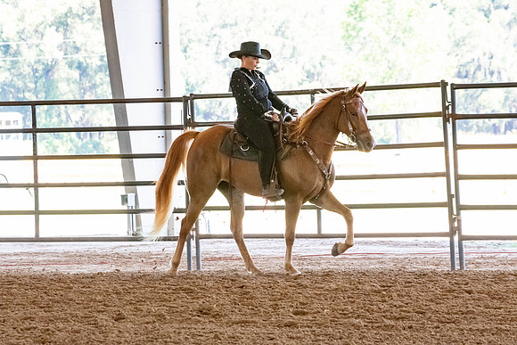 FWRHAStateShow-131