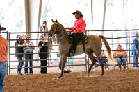 FWRHAStateShow-120