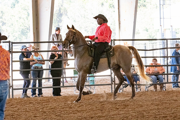 FWRHAStateShow-120