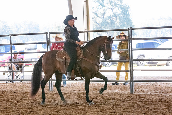 FWRHAStateShow-95