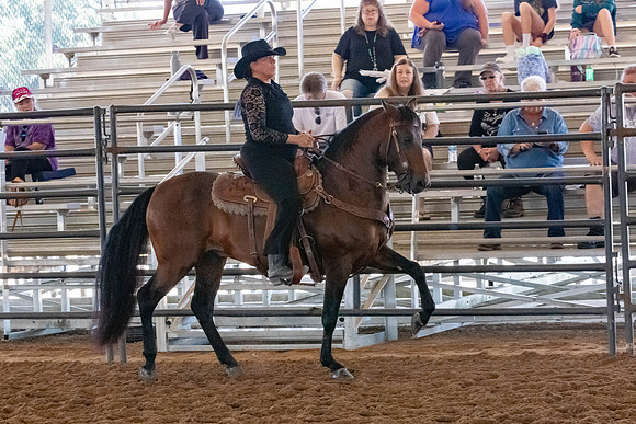 FWRHAStateShow-97