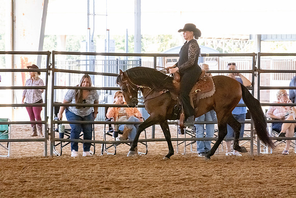 FWRHAStateShow-91