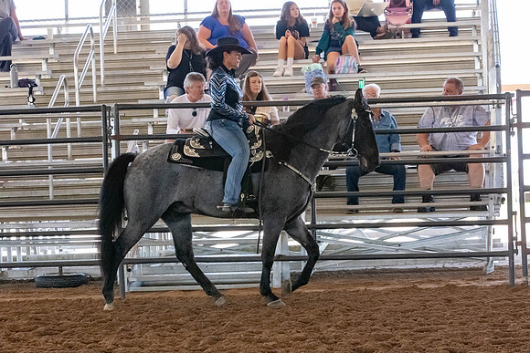FWRHAStateShow-104