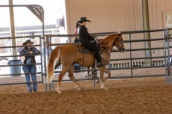 FWRHAStateShow-129
