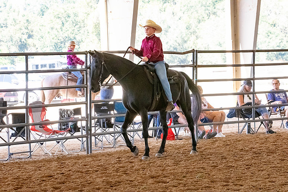 FWRHAStateShow-152