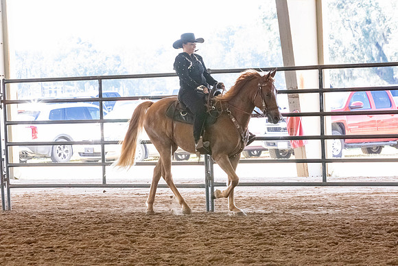 FWRHAStateShow-135