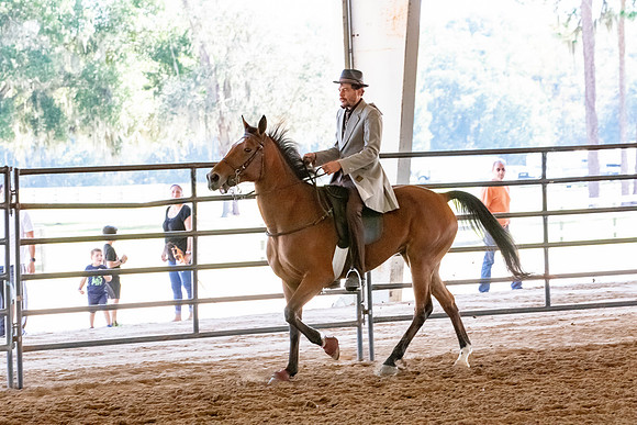 FWRHAStateShow-153