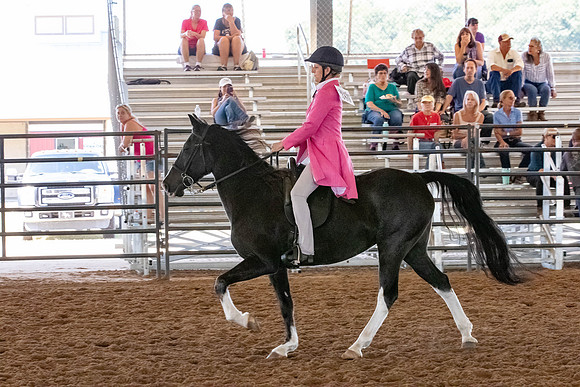 FWRHAStateShow-160