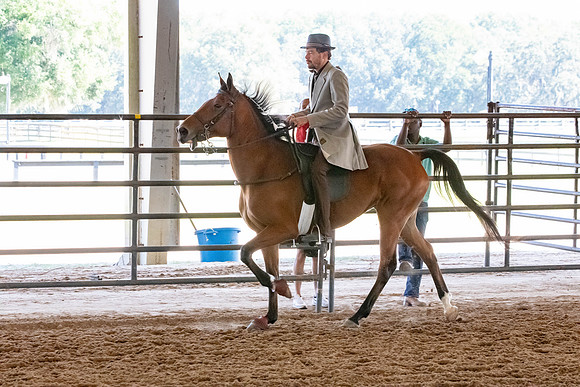 FWRHAStateShow-155