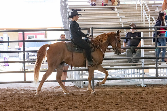 FWRHAStateShow-137