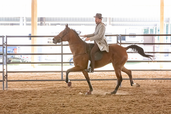 FWRHAStateShow-162