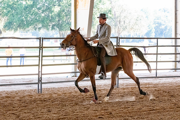 FWRHAStateShow-164