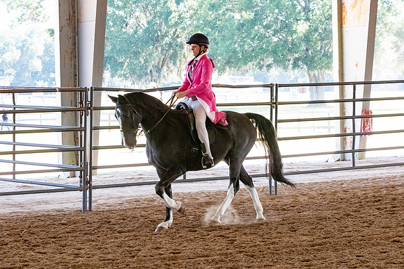 FWRHAStateShow-167