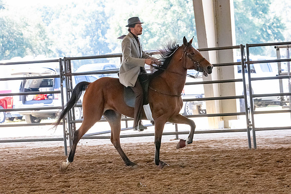 FWRHAStateShow-169