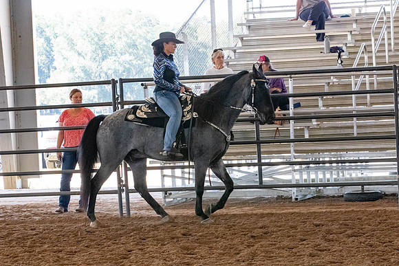 FWRHAStateShow-103
