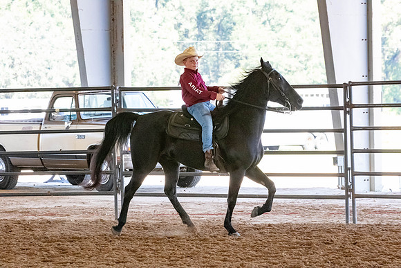FWRHAStateShow-171