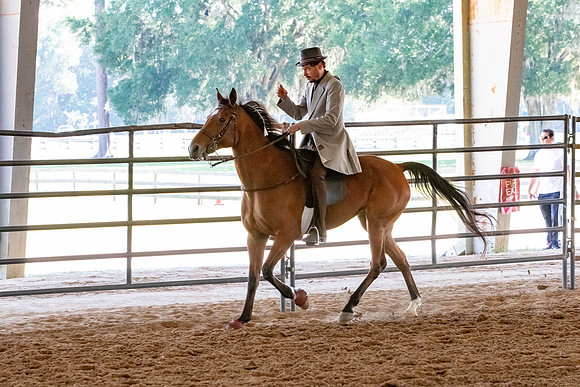 FWRHAStateShow-154