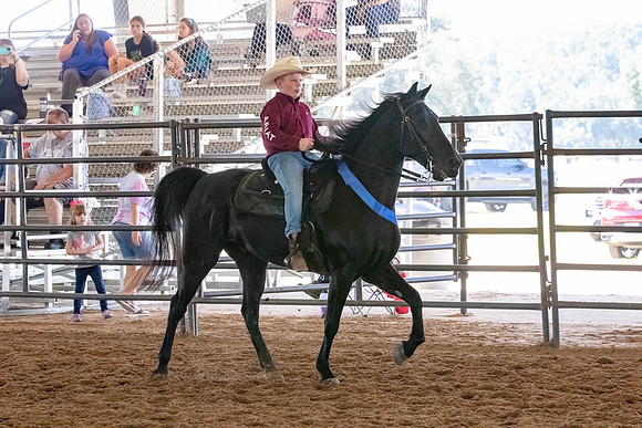 FWRHAStateShow-174