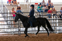 FWRHAStateShow-175
