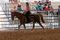 FWRHAStateShow-176
