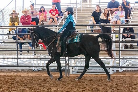 FWRHAStateShow-209