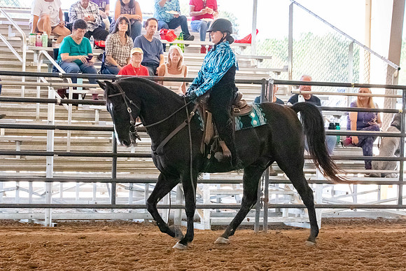 FWRHAStateShow-208