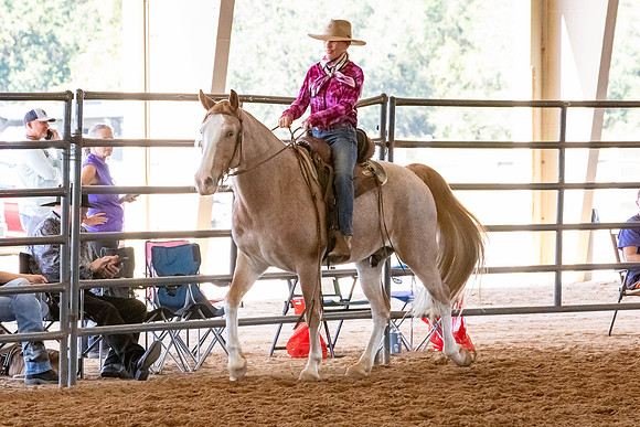 FWRHAStateShow-206