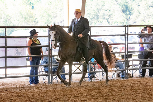 FWRHAStateShow-210