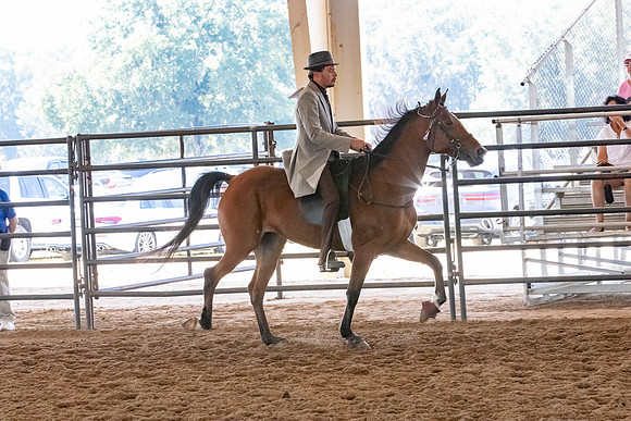 FWRHAStateShow-288