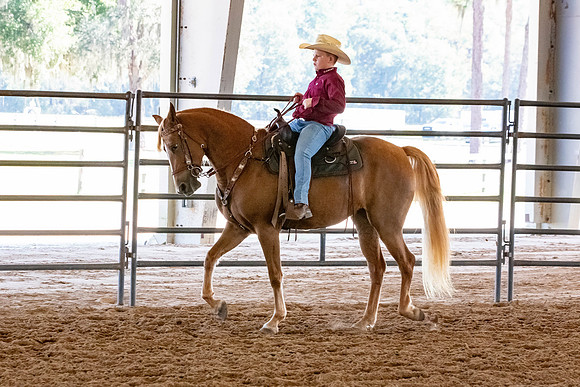 FWRHAStateShow-256