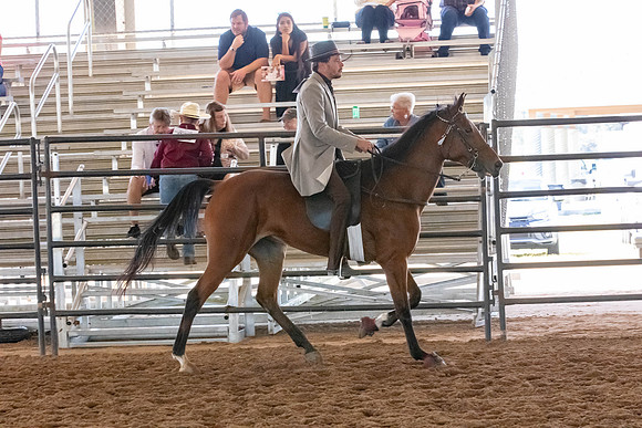 FWRHAStateShow-289