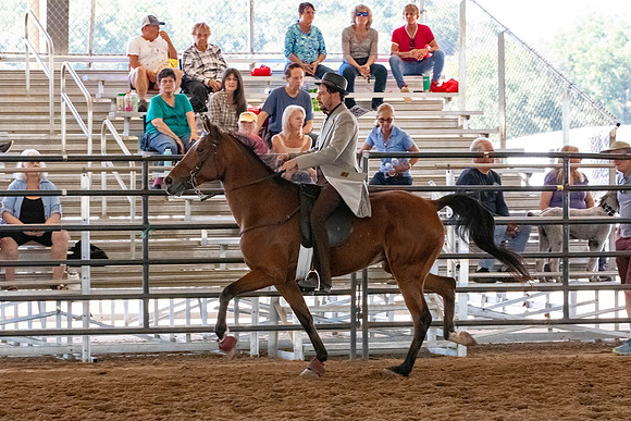 FWRHAStateShow-287