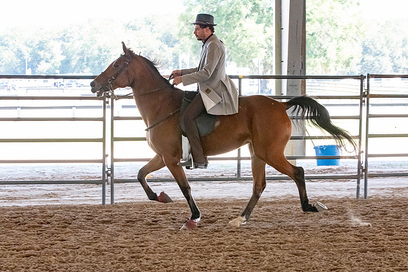 FWRHAStateShow-286