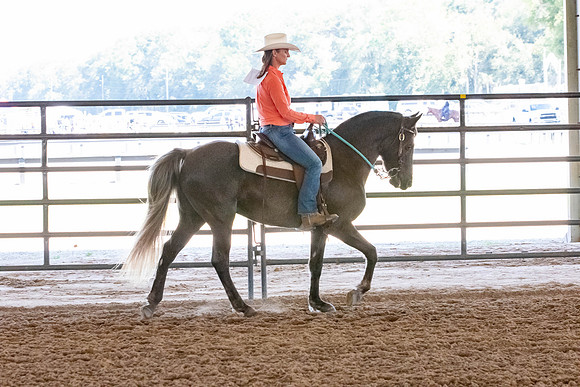 FWRHAStateShow-291