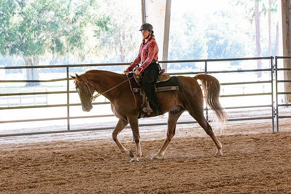 FWRHAStateShow-179