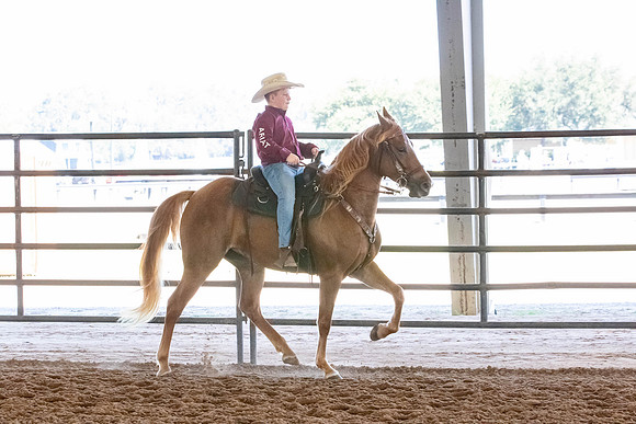 FWRHAStateShow-248