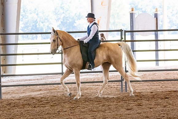 FWRHAStateShow-183