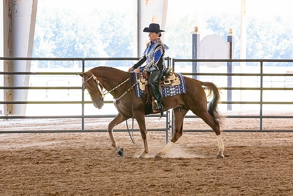 FWRHAStateShow-180