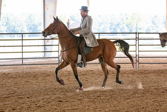 FWRHAStateShow-285