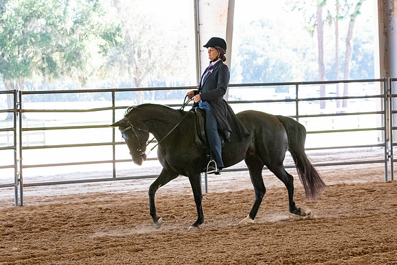 FWRHAStateShow-185