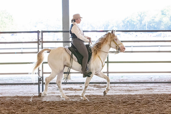 FWRHAStateShow-265