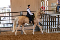 FWRHAStateShow-188