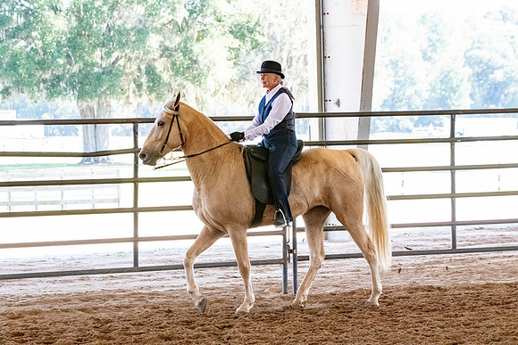 FWRHAStateShow-259
