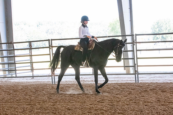 FWRHAStateShow-191