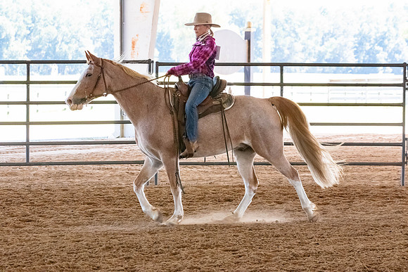 FWRHAStateShow-219